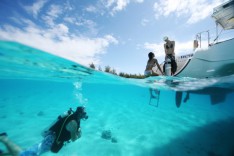 Plongées dans les eaux de Tahiti et ses îles