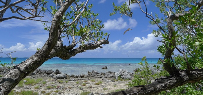 Le récif côté océan à Tikehau