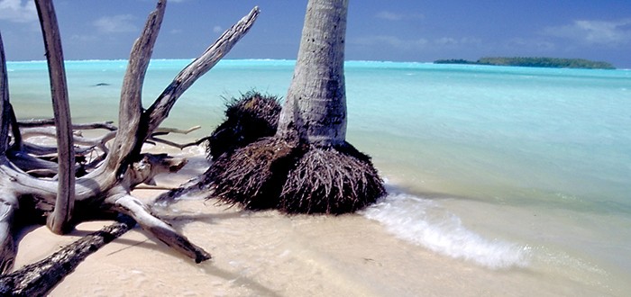 Les plages de sable rose de Tikehau