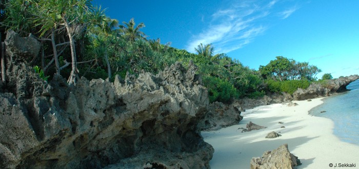 Balade sur une plage déserte aux Australes