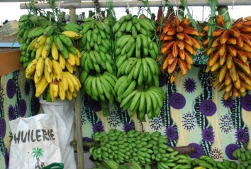 foire agricole 2019